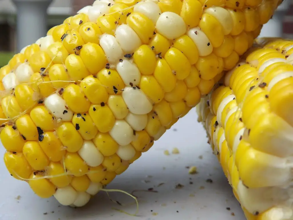 Smoked Corn On The Cob