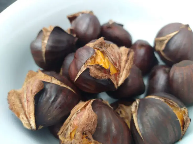 Roasted Chestnut Recipe
