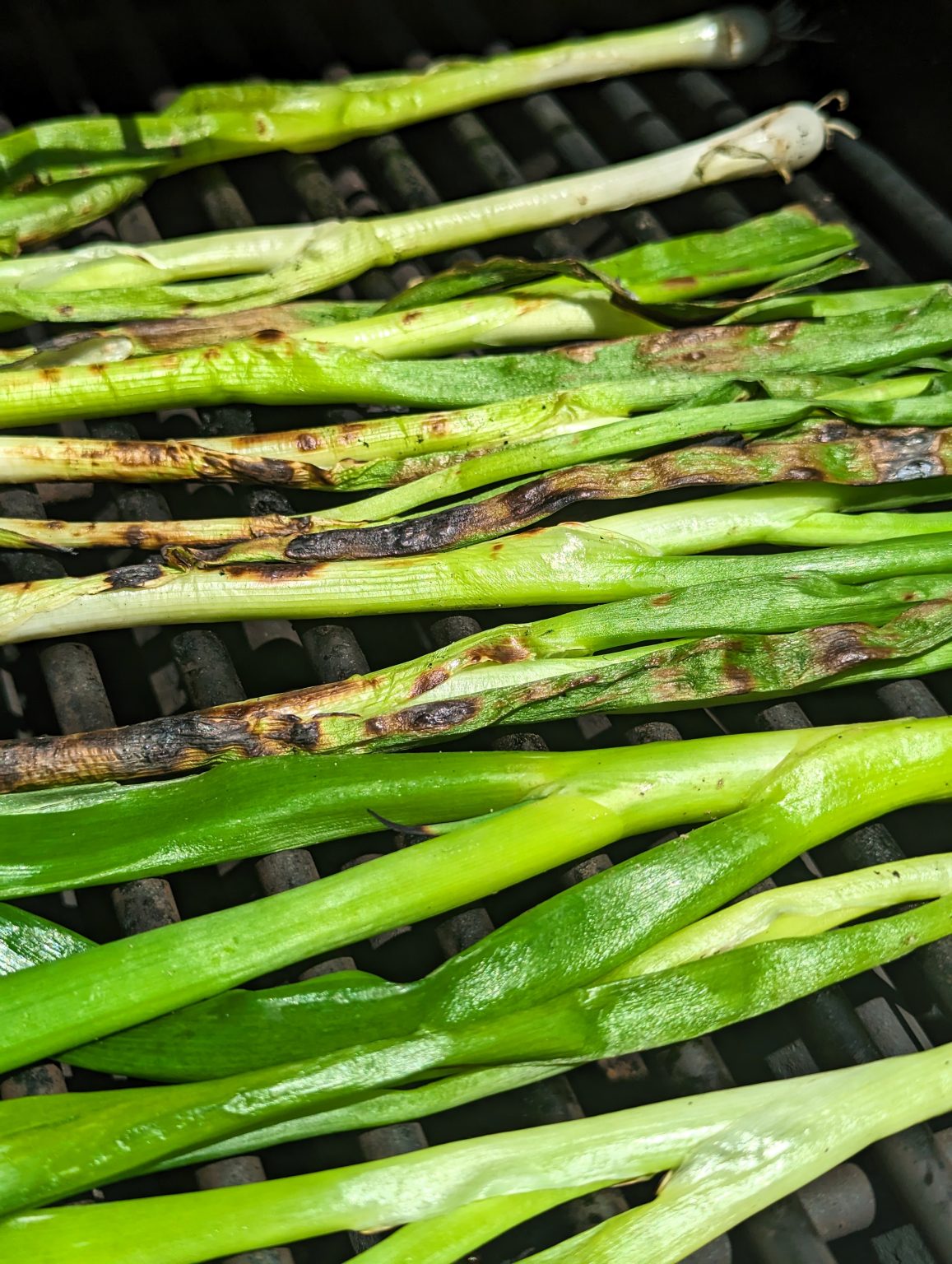 Authentic Grilled Mexican Green Onions What's Smoking